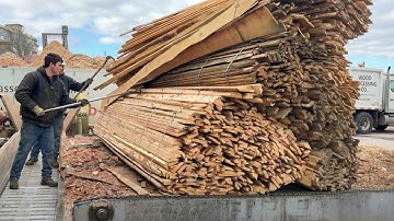 Extreme Wood Shredding: UNSTOPPABLE Operator VS. Massive Logs