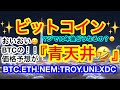 ✨ビットコインの天井が『理解できない価格』に❗️❓つまり青天井❗️❓