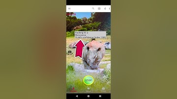Selfie motion detection