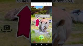 Selfie motion detection