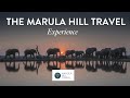 The marula hill travel experience
