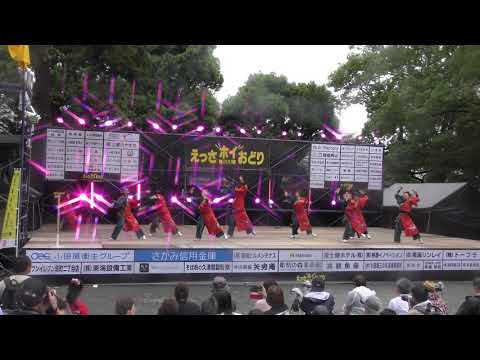 2018・えっさ ホイおどり(メイン会場)伊澤屋