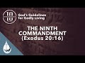 "Liar, Liar, Pants on Fire" (Exodus 20:16) - Terry Smith