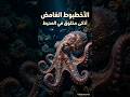 الأخطبوط أذكى مخلوق غامض في أعماق المحيط