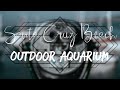 East Cliff Beach - Outside Aquarium