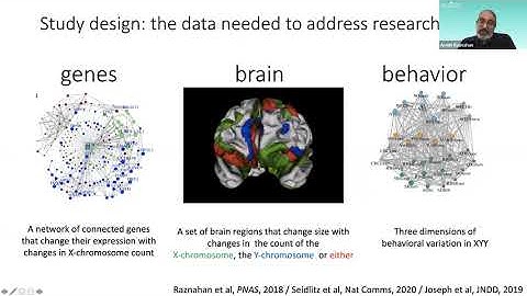 Dr. Armin Raznahan - Latest findings & future plans from the NIMH study of X/Y chromosome variations