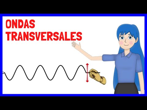 Video: ¿Cuáles son dos ejemplos de ondas transversales?