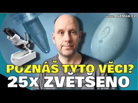 Video: Jak moc jsou tyto buňky cibule zvětšené?