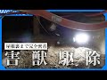 【アライグマ駆除 完全密着】屋根裏。床下。瓦の上。見た事ありますか？