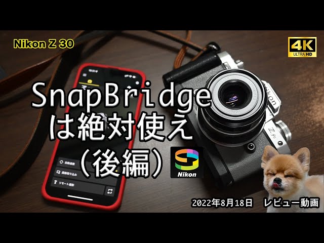 sddefault.jpg