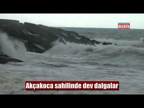 AKÇAKOCA SAHİLİNDE DEV