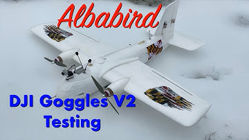 Finwing Albabird - DJI FPV Goggles V2 Pan/Tilt Test Run