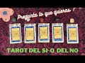 Pregunta lo que quieras : Sí o No - Tarot interactivo