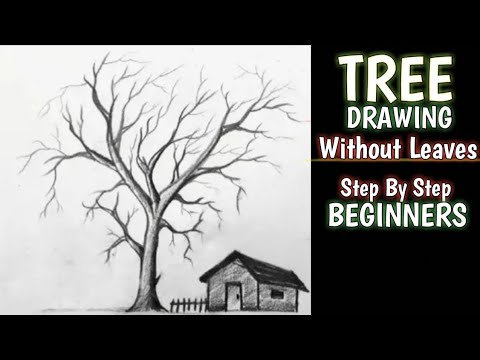 how to draw a tree without leaves