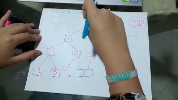 Explicación gráfica método HeapSort