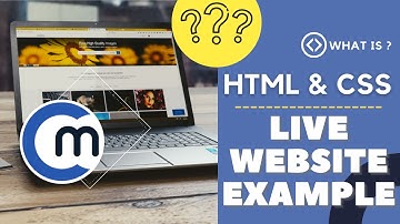 What is HTML and CSS in Urdu / Hindi  - Introduction to Web Designing  Live Website Example Tutorial