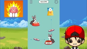 GAME PLAY BRAIN UP LEVEL 241 242 243 244 245 246 247 248 249 250