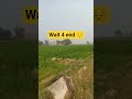 kheti#trending #viral #farming #automobile #shorts #short #minivlog #farmerstruggle #2m #2026 #trend