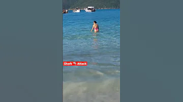 Shark Attack Rio De Janeiro Atlantic Ocean Shark Travel Subscribe Comedy Brazil Ocean 