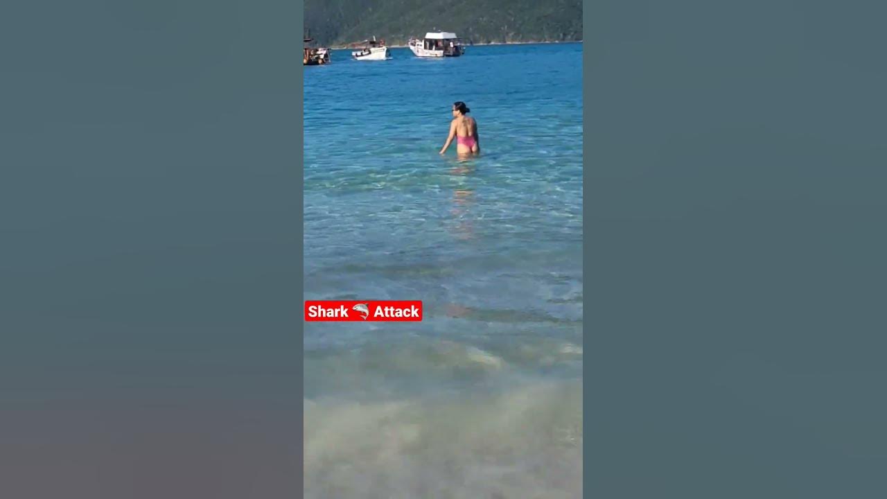 🇧🇷 Shark Attack | Rio De Janeiro Atlantic Ocean #shark #travel #subscribe #comedy #brazil #ocean