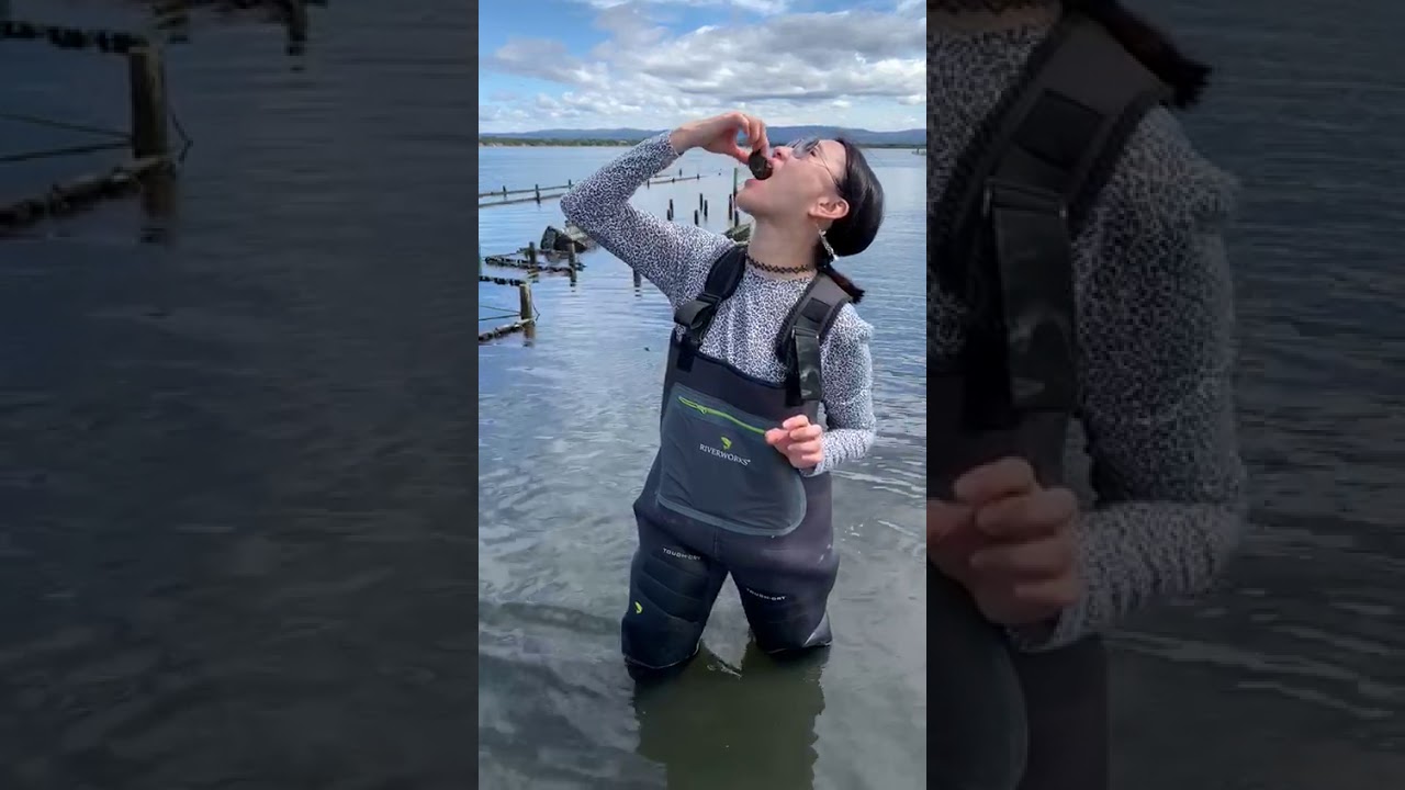 Oyster Farm at Tasmania 2019 YouTube