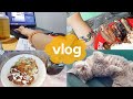Vlog senior highschool student living with family  studying  meals of a homebody