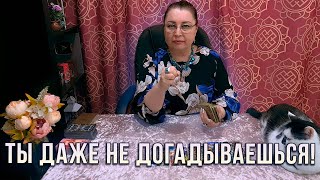 О ТАКОМ ТЫ ДАЖЕ НЕ ДОГАДЫВАЕШЬСЯ! ЧТО ТВОРИТСЯ С НИМ ЗА ТВОЕЙ СПИНОЙ?