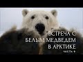 Встретить белого медведя в Арктике или полный писец. На Toyota по льду Карского моря. Часть 9