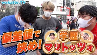 【新企画】偏差値を偏差値で挟め！学歴マリトッツォ！【wakatte TV】#736