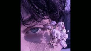 𝑳𝒊𝒍𝒂𝒄𝒔 ❀ 𝑺𝒍𝒐𝒘𝒆𝒅 + 𝑹𝒆𝒗𝒆𝒓𝒃 | 𝑷𝒂𝒔𝒕𝒆𝒍 𝑮𝒉𝒐𝒔𝒕