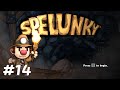 Intentando matar al gusano y la piraña en Spelunky #14