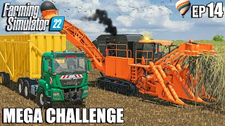 SUGARCANE Harvest and LOAD with HOVER 500 | MEGA Challenge Ep.14 | Farming Simulator 22
