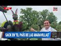 Adrian Sack desde el JARDÍN DE ALICIA EN EL PAÍS DE LAS MARAVILLAS en Estados Unidos ☕🐰