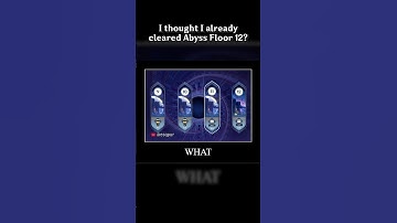 I THOUGHT I ALREADY CLEARED ABYSS FLOOR 12?