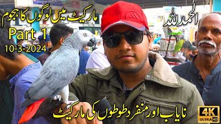Lalukhet Exotic Hen and Rooster Birds Market Karachi | Rare and Unique Parrots | पक्षियों का बाज़ार