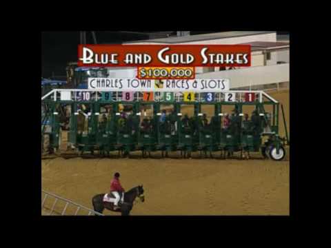 2010 Blue & Gold Stakes