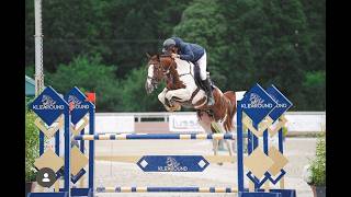 Amethist Laurentii Z