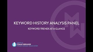 Analyze Live Amazon Data with the MerchantWords Keyword History Analysis Panel