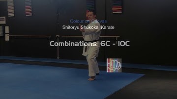 Shitoryu Shukokai Karate Combinations 6 - 10C