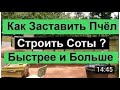 Beekeeping №111 Как заставить пчёл тянуть вощину Лучше и быстрее? Советы старых пчеловодов- пасека