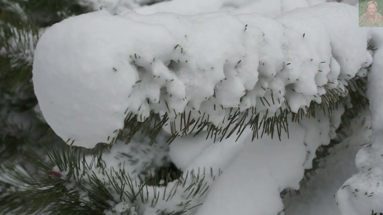 UROKI  ZIMOWYCH  DNI ... cz. I