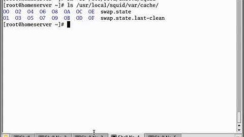 How to setup Squid   Urdu Linux Tutorial Part 9    StartUp Script