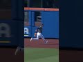 AJ Ewing makes the impressive running catch 🔥 #mlb #baseball #mets #sports #highlights