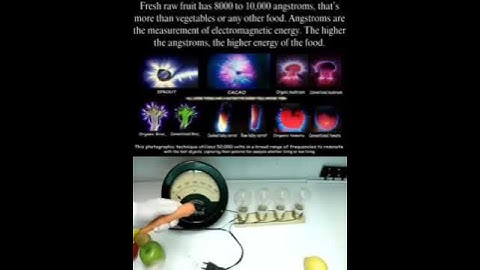 Nikola Tesla To Find The Secrets Of The Universe, Think In Terms Of Energy, Frequency And Vibration"