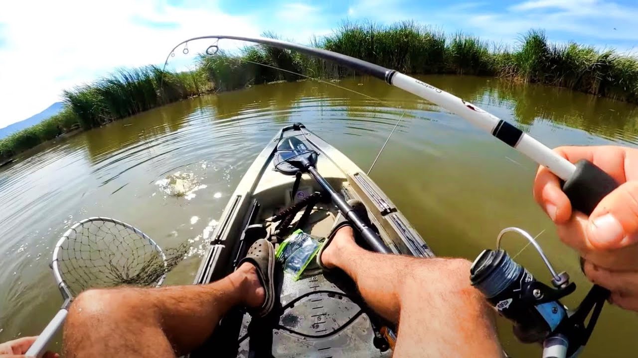 2 días de pesca en kayak y embarcado en México, pescando lobinas con @Mexangler , pesca urbana