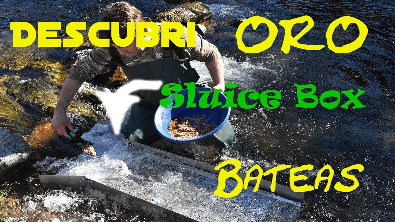 Encuentro oro en el río si el dorado gold fiebre del oro - YouTube