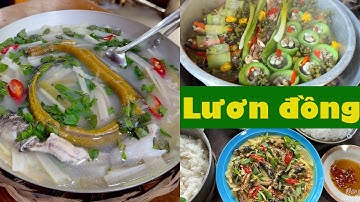 Lươn hấp mướp, lươn xào lăn, lươn um, nấu canh chua - Món ngon từ lươn đồng | Đặc sản miền sông nước