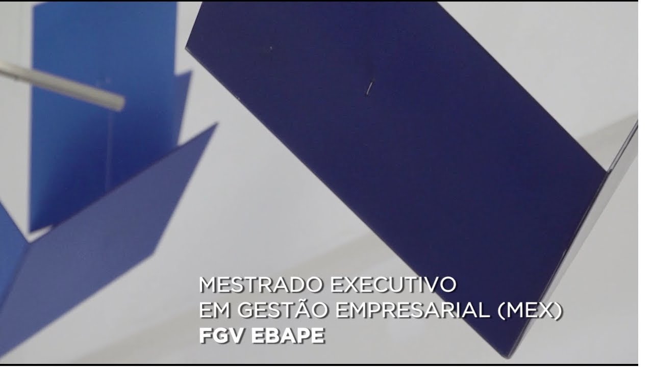 law of supply and demand Mestrado Executivo em Gestão Empresarial - Turma Regular