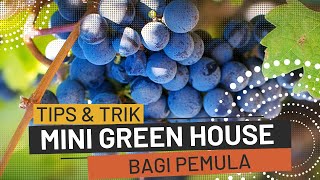 A place for personal healing that makes you healthy in a 21 square meter grape green house