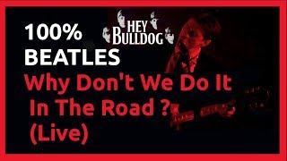 Download Mp3 Beatles Live: Why Don't We Do It In The Road (Beatles Night) Gudang lagu Download Mp3 Beatles Live: Why Don't We Do It In The Road (Beatles Night)